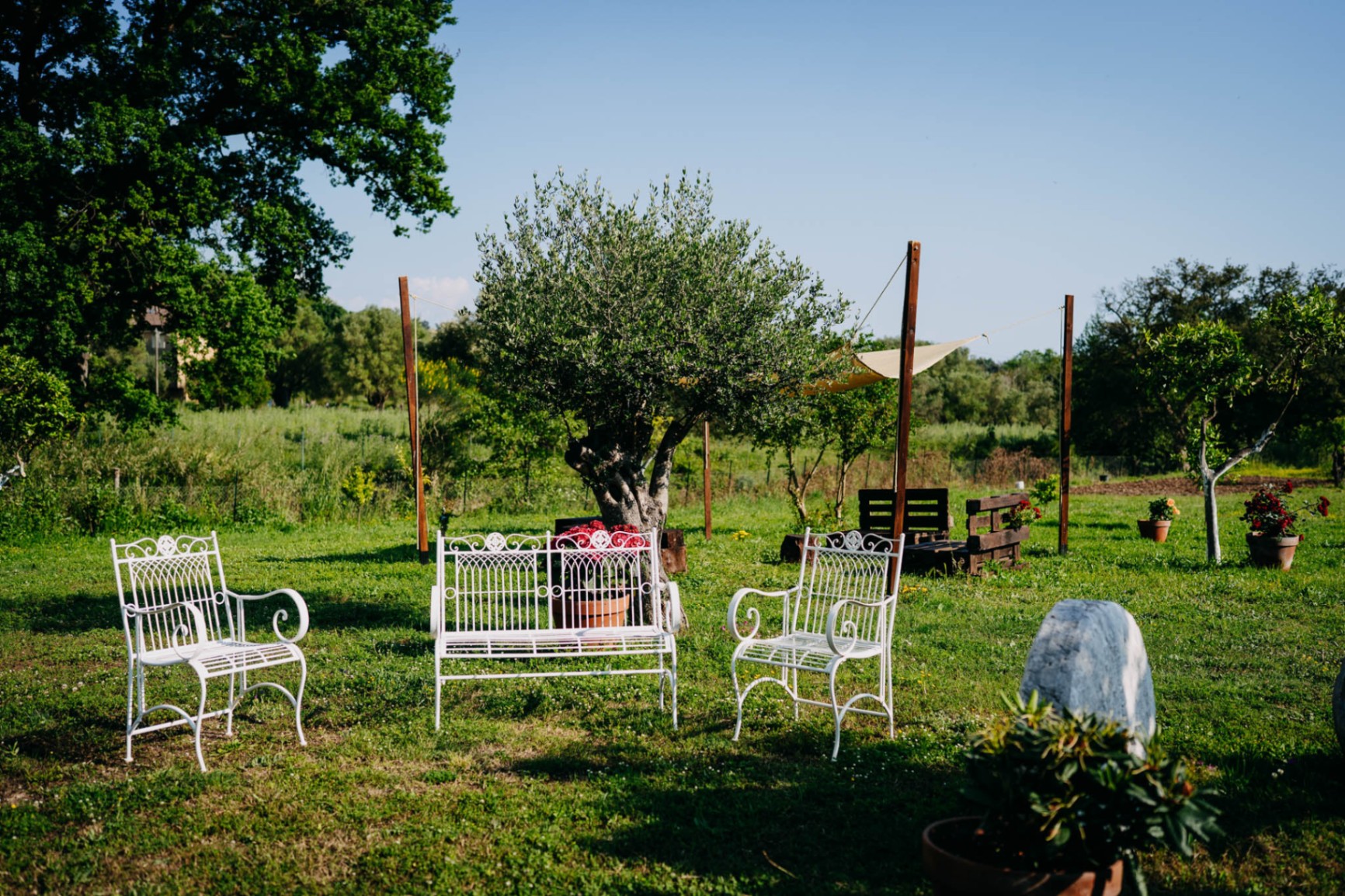 Spazi comuni e giardino della Tenuta Le Tre Rose con sedute in ferro battuto sotto l'ulivo
